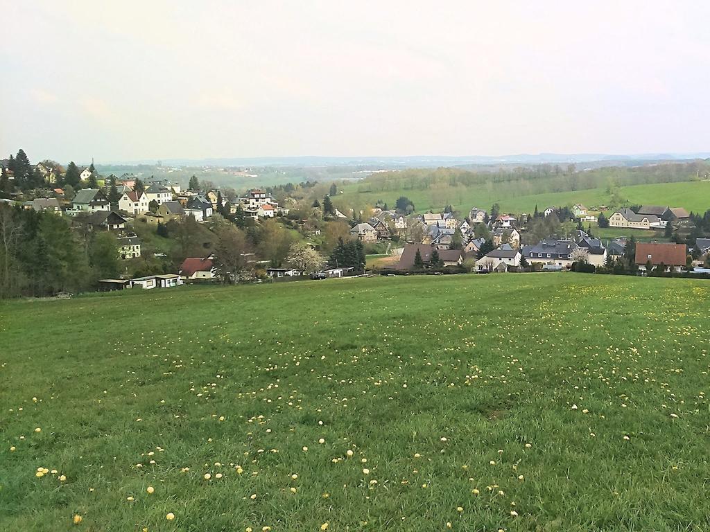 Apartment With Views Of The Ore Mountains Oelsnitz  Екстер'єр фото